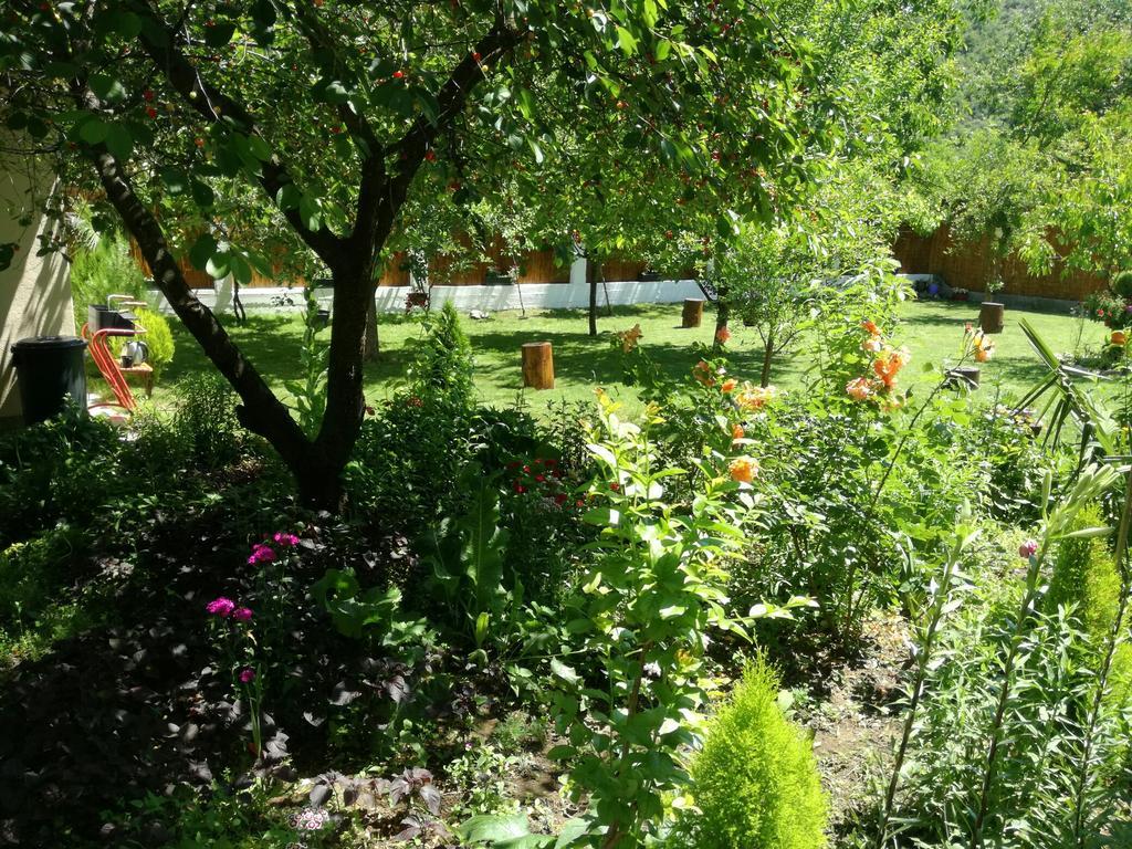 Pocitelj Riverside Guesthouse מראה חיצוני תמונה
